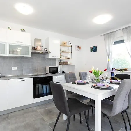 Patrick With Private Pool Apartment Cizici